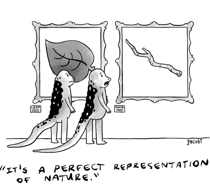 Two lizards commenting on framed leaf and twig artwork in a single-panel comic by artist Jacob Breckenridge.