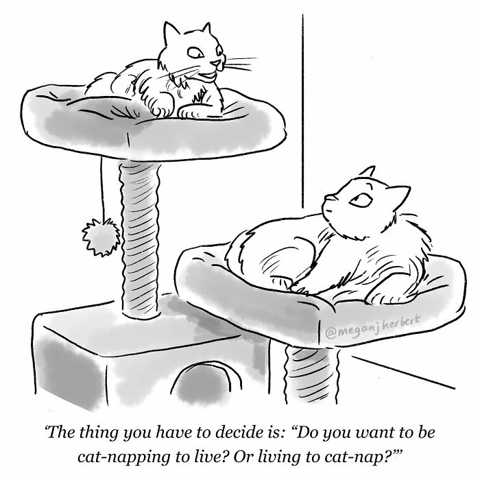 Two cats resting on a cat tree in a funny comic by a multitalented cartoonist creating relatable comics.