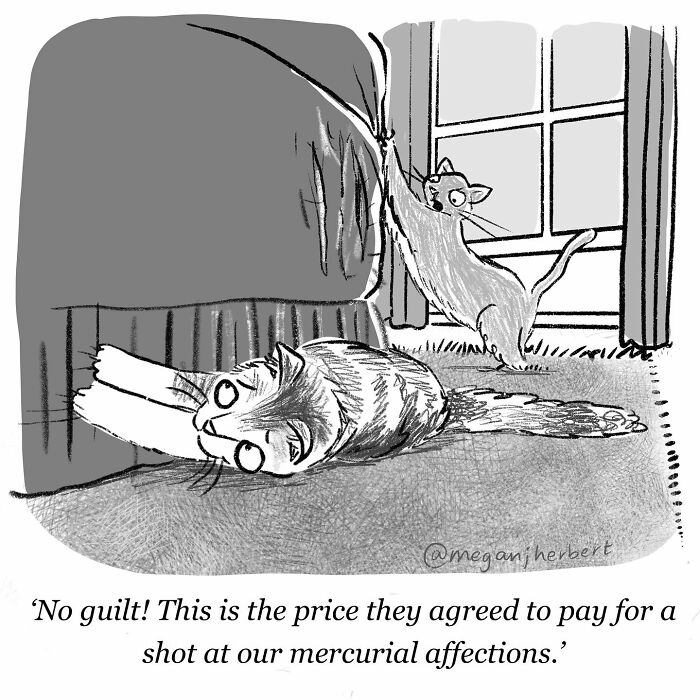 Cartoon comic showing two cats scratching furniture, illustrating funny comics about relatable pet behavior.
