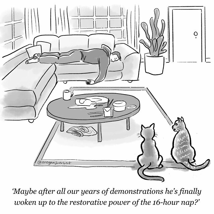 Funny relatable cartoon by multitalented cartoonist showing a person napping on a couch with two cats watching.