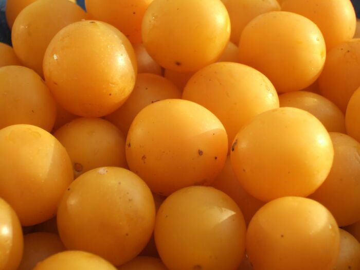 Close-up of bright orange fruits highlighting surprising foods banned in the USA for safety and health concerns.