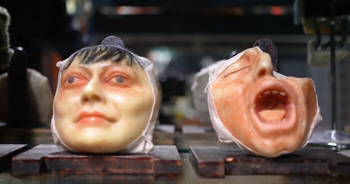 From Viral Tweets To Dusty Cabinets: How I Turned My Collection Of Oddities Into A Real Museum In Dublin