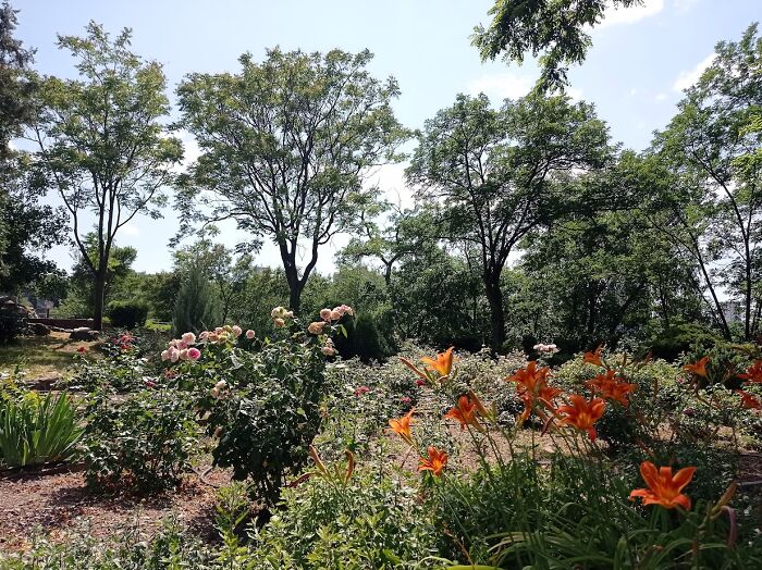 Painted Resilience: My Plein Air Landscapes From Dnipro