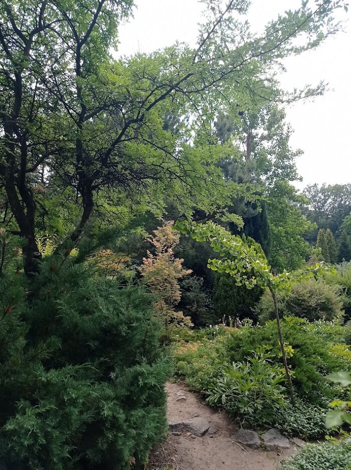 Painted Resilience: My Plein Air Landscapes From Dnipro