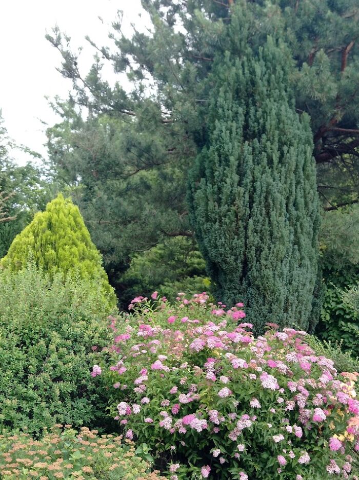 Painted Resilience: My Plein Air Landscapes From Dnipro