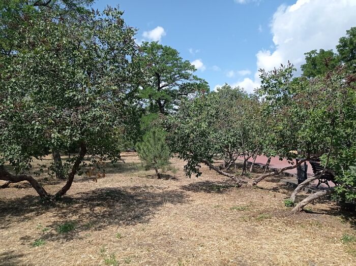 Painted Resilience: My Plein Air Landscapes From Dnipro