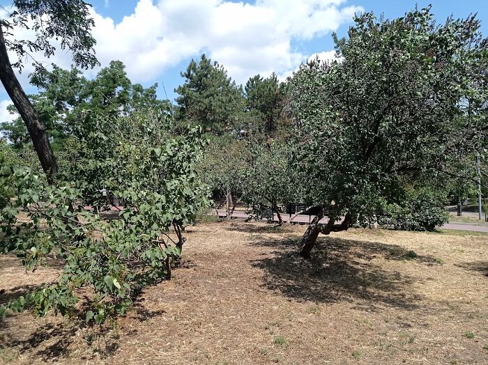 Painted Resilience: My Plein Air Landscapes From Dnipro