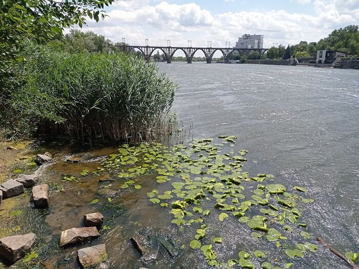 Painted Resilience: My Plein Air Landscapes From Dnipro