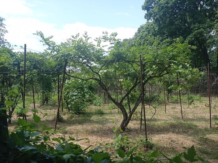 Painted Resilience: My Plein Air Landscapes From Dnipro