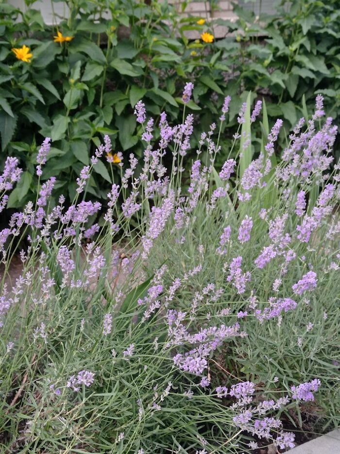 Painted Resilience: My Plein Air Landscapes From Dnipro