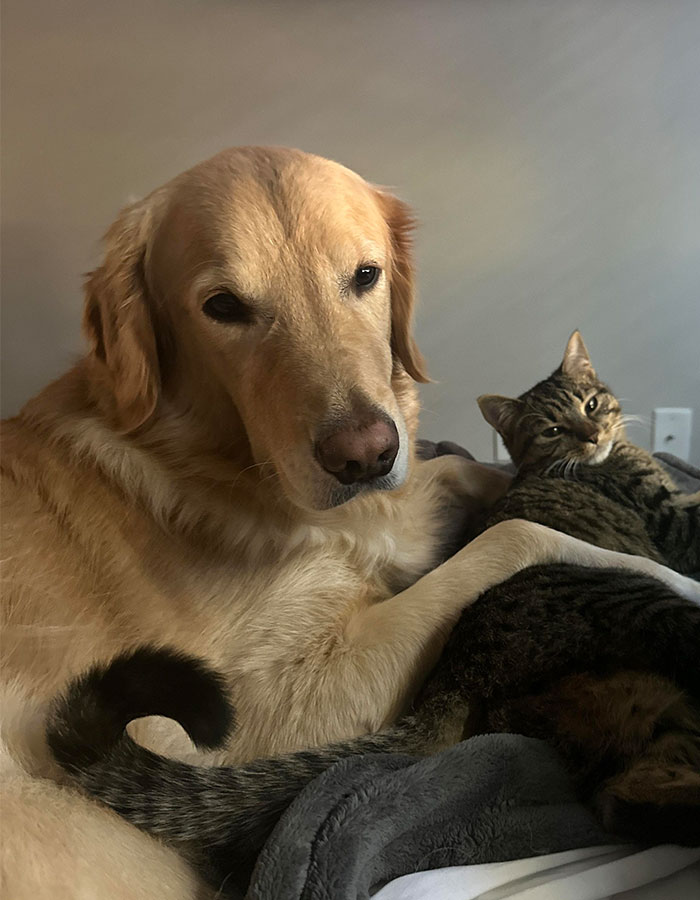 Sailor Returns Home From Service To Discover Family Gave His Dog Away&mdash;Then He Tracks Down The Pup