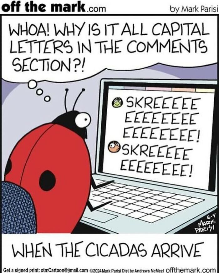 Comic from Off The Mark by Mark Parisi showing a ladybug surprised by cicadas' loud capitalized comments online.