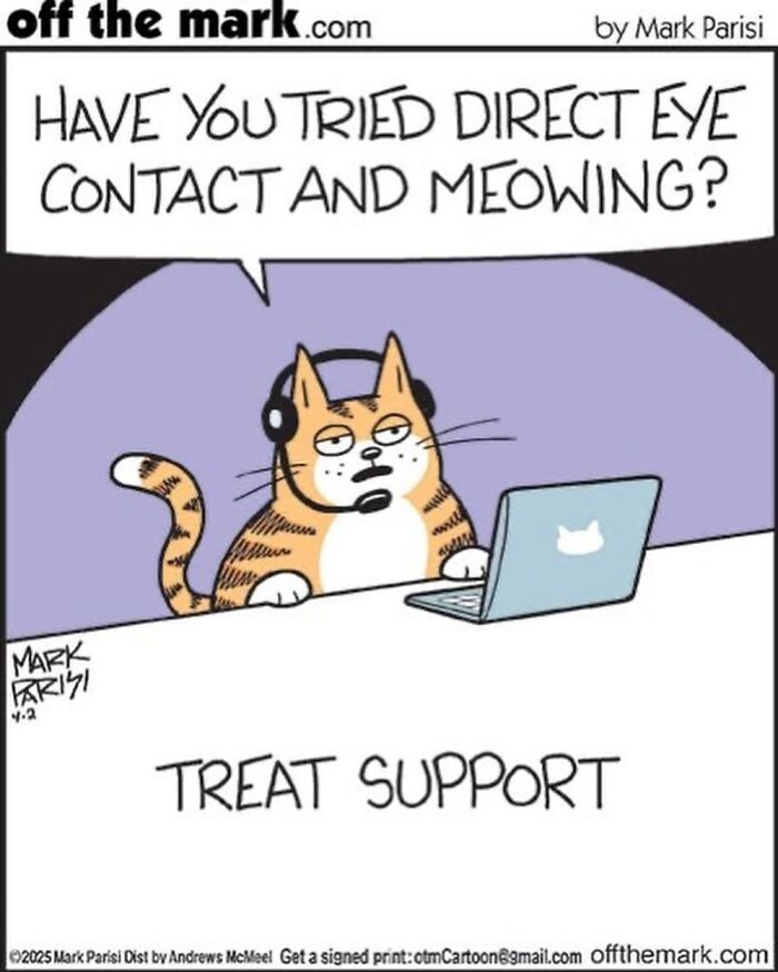 Cat wearing headset at laptop offering support with direct eye contact and meowing in Off The Mark comic by Mark Parisi