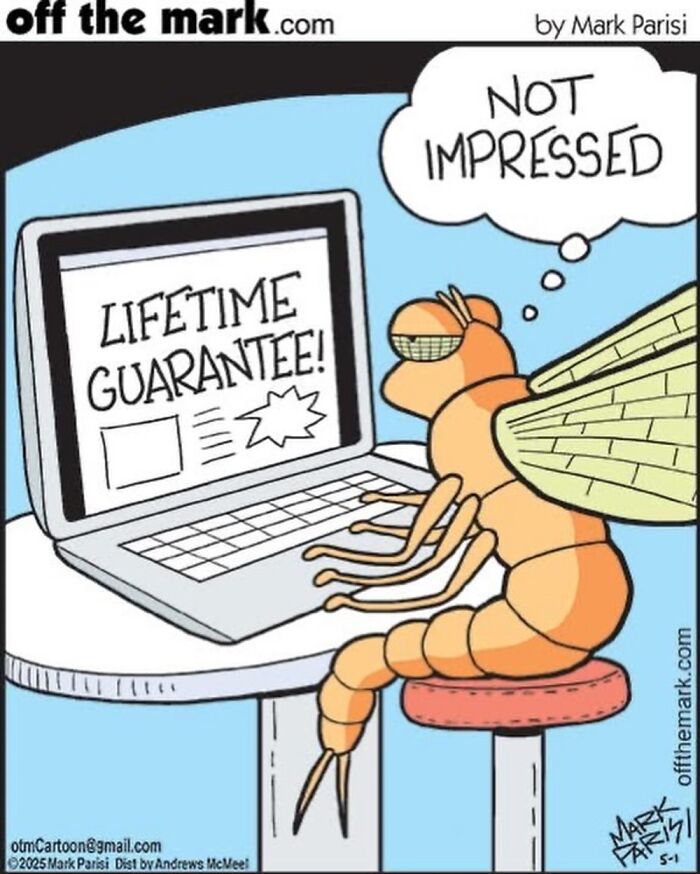 Cartoon insect at a laptop with lifetime guarantee text, thinking not impressed in Off The Mark comic by Mark Parisi.