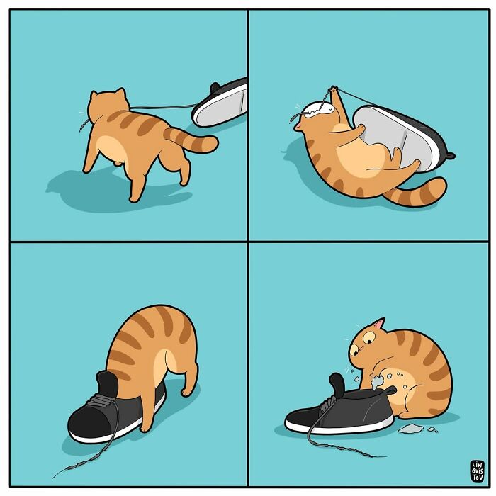Illustration showing what it’s like to live with a cat, featuring playful and curious cat behaviors around a shoe.