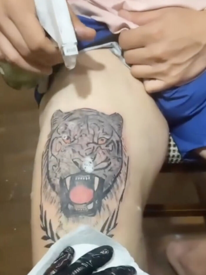 A person getting a bizarre tiger tattoo on their thigh, showcasing unusual tattoo choices in progress.
