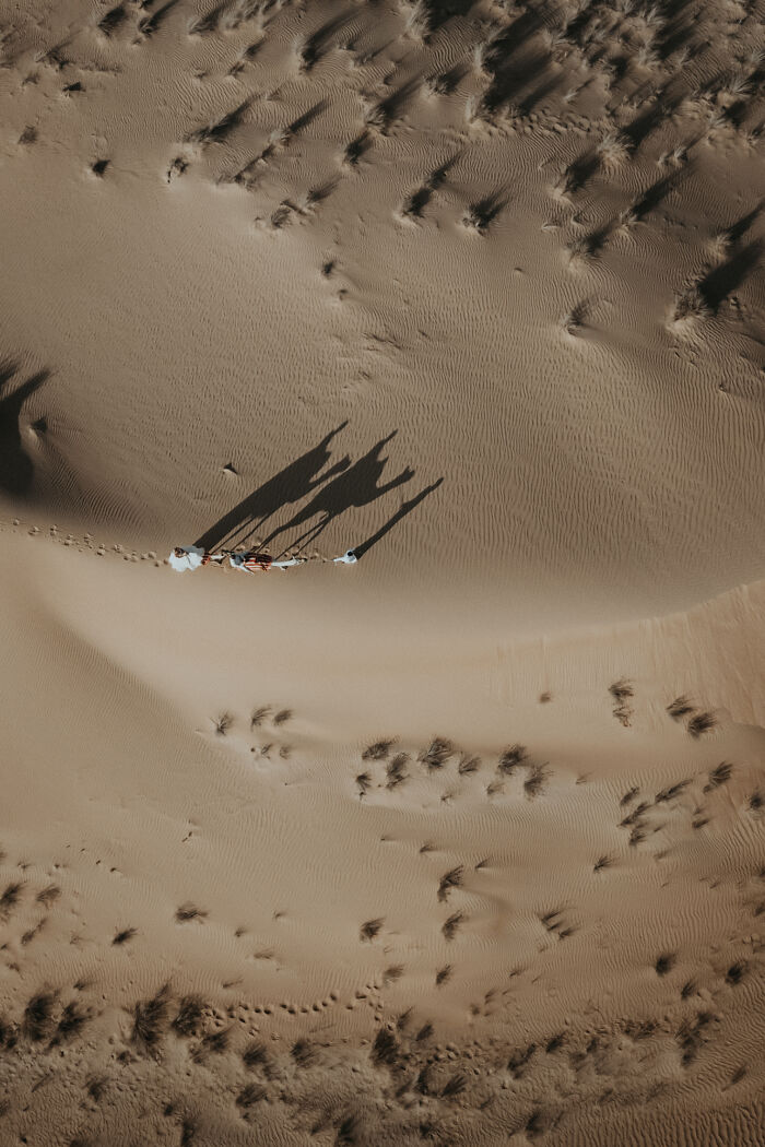 Image By Sharyn Hodges, Taken In Dubai, Uae