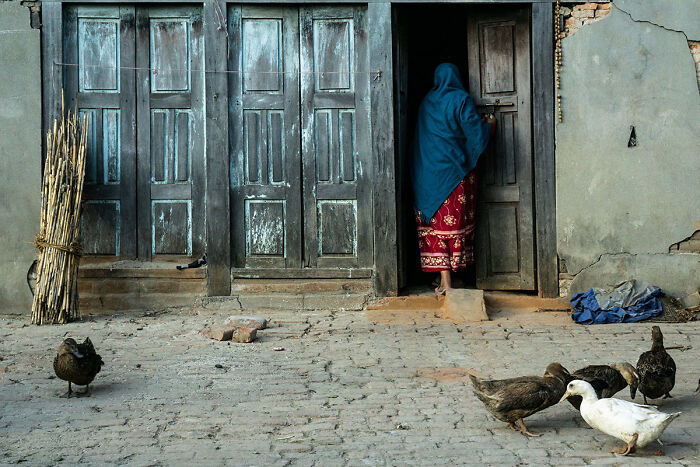 Woman entering a rustic doorway while ducks roam nearby in a candid street photo capturing everyday life.