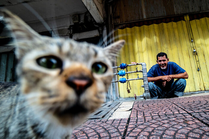 Candid street photo of a man crouching by yellow doors with a curious cat in the foreground capturing everyday life.