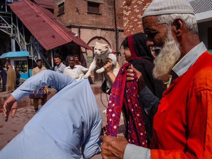 Candid street moment showing diverse people interacting with a cat in a lively urban setting, capturing genuine emotion.