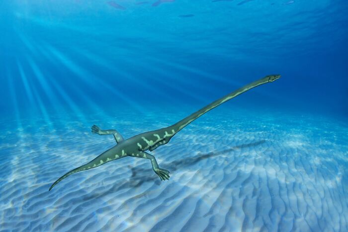 Underwater long-necked marine reptile swimming over sandy ocean floor in dinosaur facts illustration.