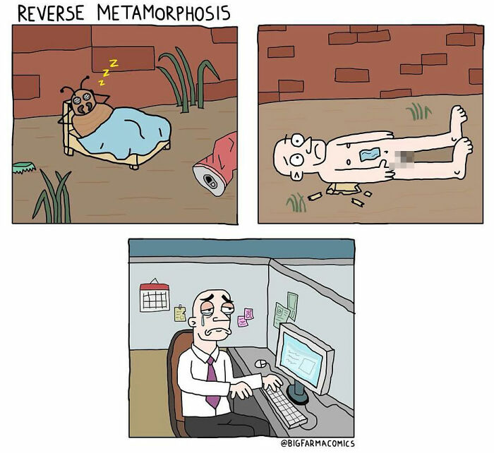 Comic titled Reverse Metamorphosis showing an insect in bed, a naked man on the ground, and a sad man working at a computer cubicle.