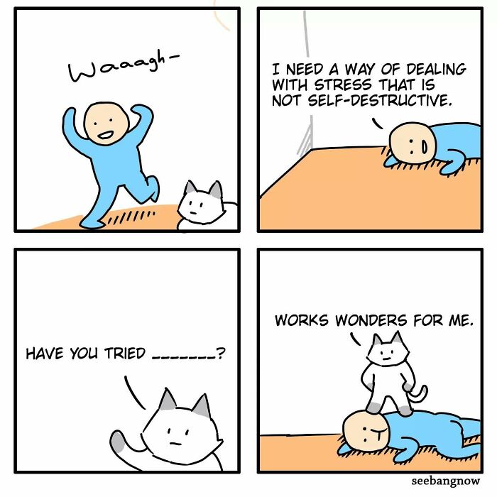 Relatable comic with absurd twists featuring a character and a cat discussing stress relief humorously.