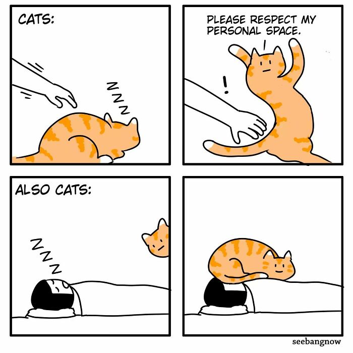 Absurd twist comic showing a cat demanding space but then climbing on a sleeping person's head in a relatable comic strip.