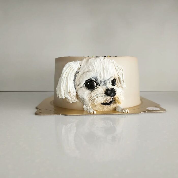 Cake featuring a realistic pet-themed design of a white dog, showcasing the artist's skill in capturing unique pet personality.