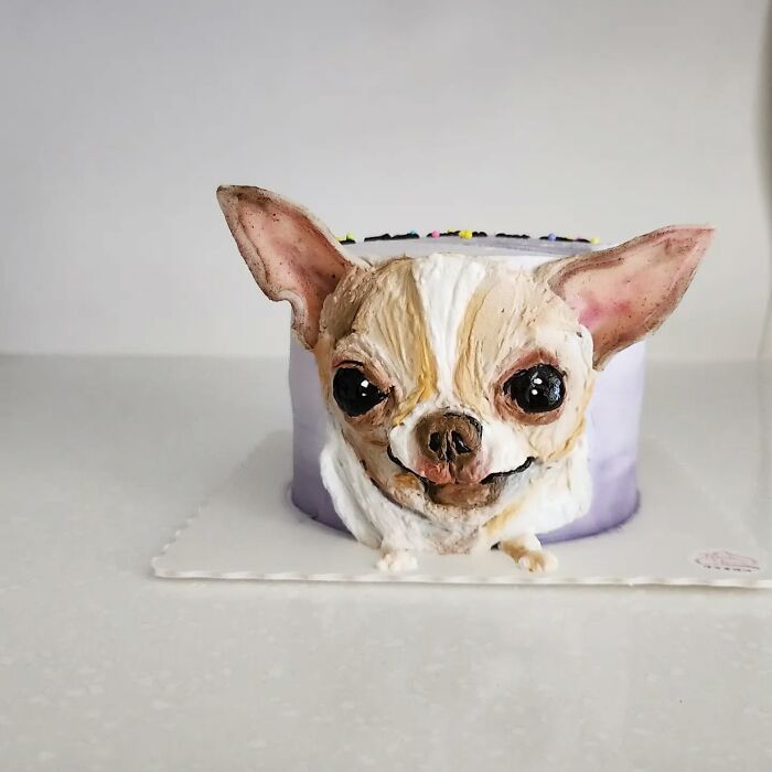 Pet-themed cake shaped like a realistic chihuahua head, showcasing the artist's skill in capturing unique pet personality.