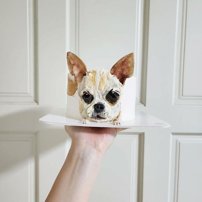 Hand holding an adorable pet-themed cake shaped like a realistic Chihuahua dog capturing its unique personality.