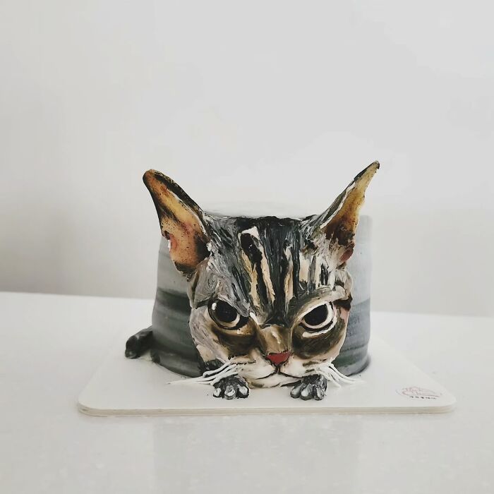 Realistic pet-themed cake shaped like a cat with detailed ears and eyes, showcasing artistic edible design.