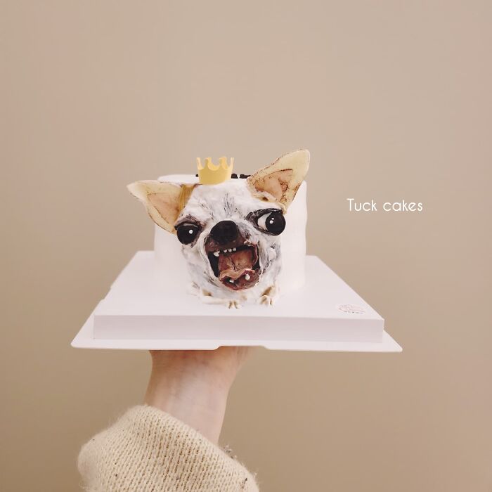 Hand holding a pet-themed cake designed to capture the unique personality of a small dog with a crown decoration.