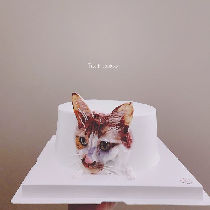 Pet-themed cake featuring a realistic cat face capturing its unique personality in an adorable edible art design.