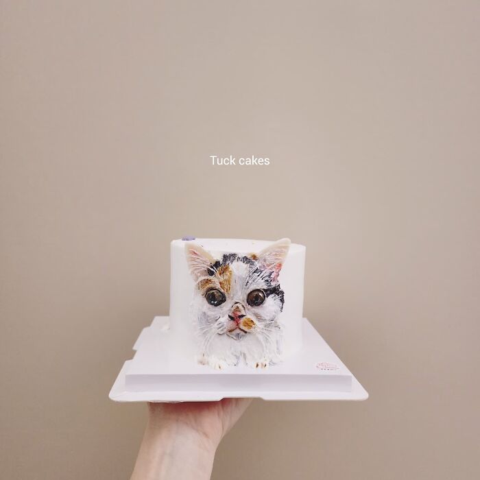 Hand holding a pet-themed cake decorated with an adorable realistic cat face capturing its unique personality.