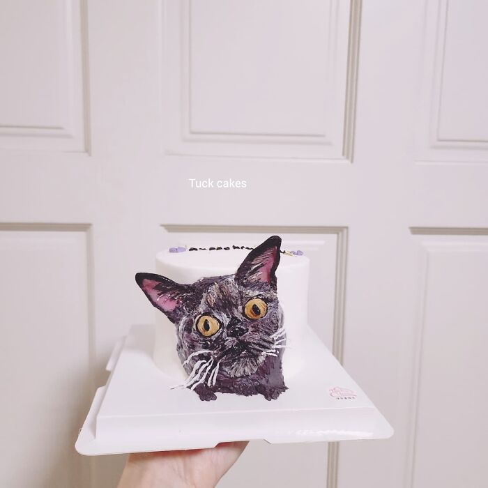 Hand holding a pet-themed cake shaped and decorated like a black cat with yellow eyes, showcasing adorable pet-themed cakes.