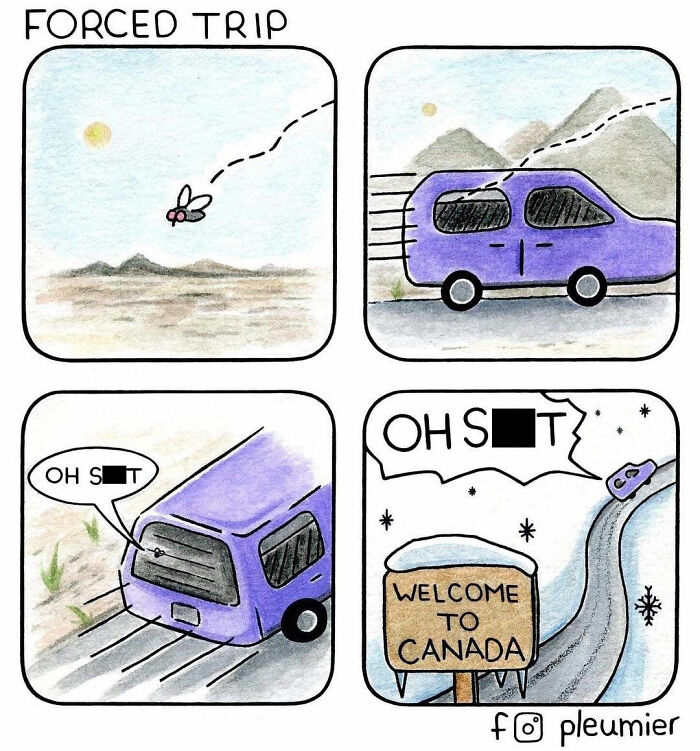 Comic strip of a biologist-turned-artist showing a fly's forced trip and a car's snowy welcome in funny comics with a sharp twist.