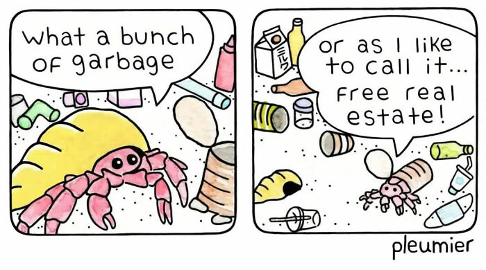 Alt text: Hermit crab in a gently funny comic by a biologist-turned-artist, humorously calling trash free real estate.