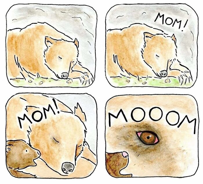 Four-panel comic showing a sleeping bear gently woken by its cub calling mom, featuring gently funny comics by biologist-turned-artist.