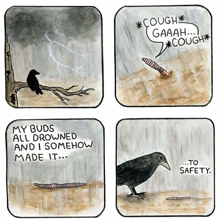 Comic panels showing a biologist-turned-artist's gently funny comic with a sharp twist featuring a worm and a crow in rain.
