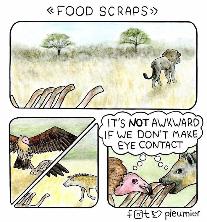 Comic strip showing animals scavenging food scraps with a gently funny twist by a biologist-turned-artist.