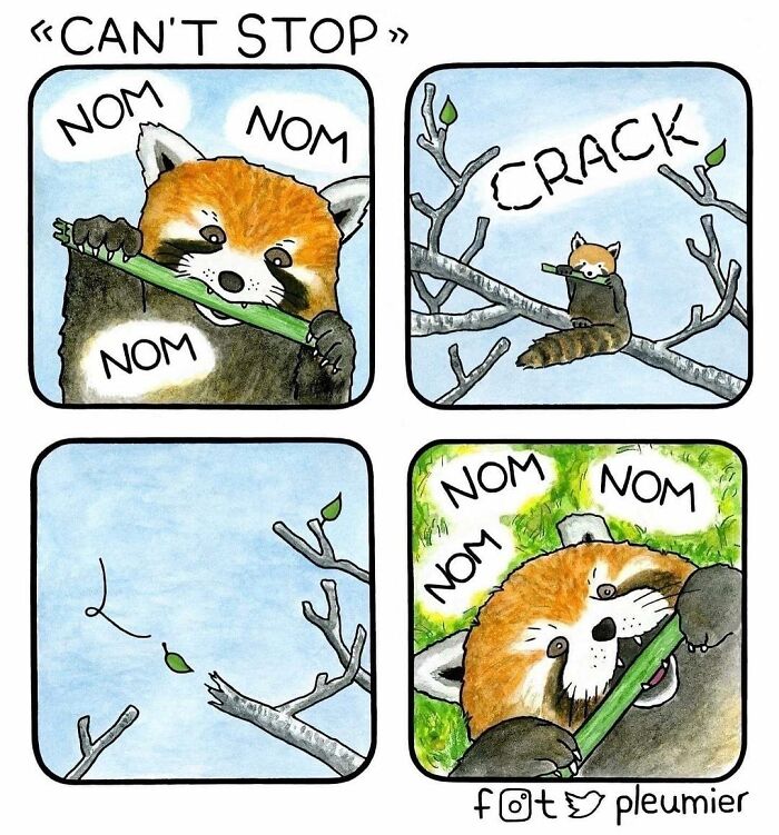 Red panda chewing bamboo in four-panel gently funny comic with sharp twist by biologist-turned-artist.