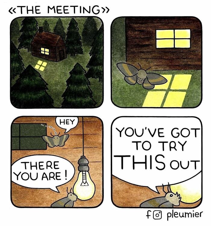 Comic strip showing moths meeting inside a cabin around a light bulb, from gently funny comics by biologist-turned-artist.