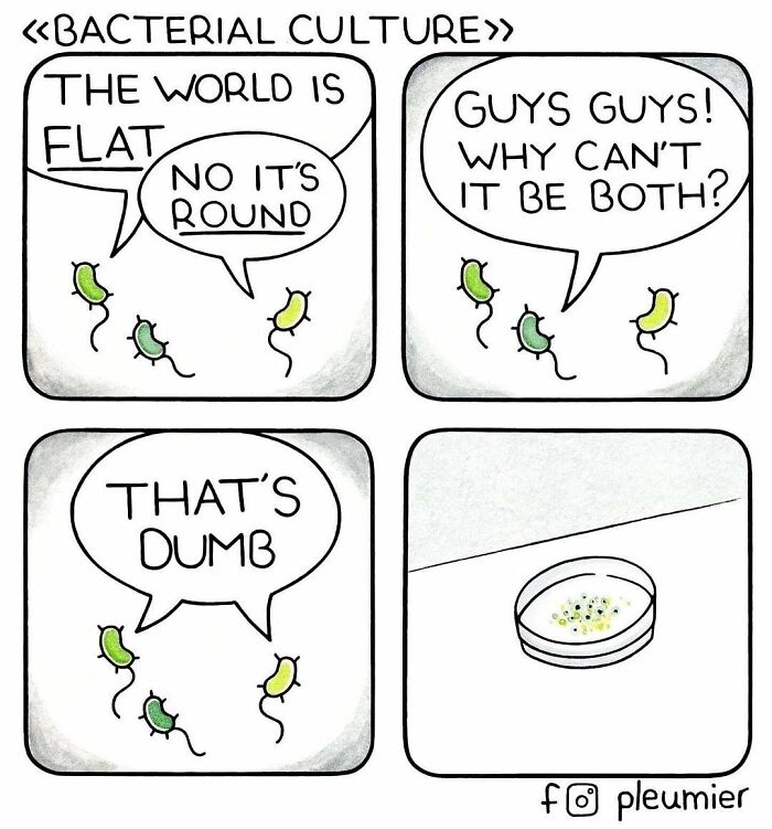 Comic of bacteria arguing if the world is flat or round in a bacterial culture, gently funny comics with a sharp twist.