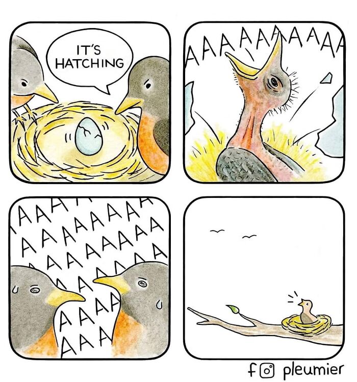 Comic panel showing birds reacting to a hatching chick in a gently funny comic by biologist-turned-artist.