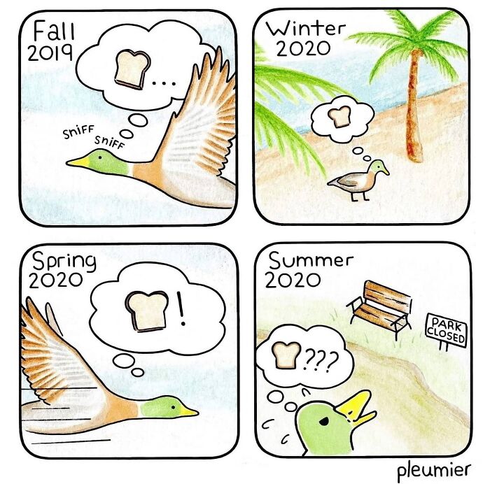 Duck dreaming about bread across seasons in a gently funny comic with a sharp twist by a biologist-turned-artist.