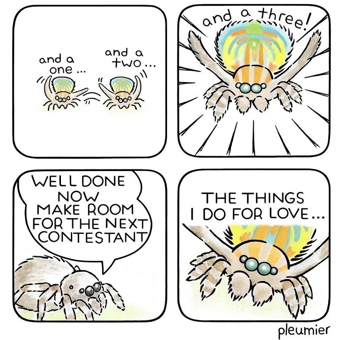 Comic strip featuring gently funny biologist-turned-artist illustrations of a spider counting and competing for love.