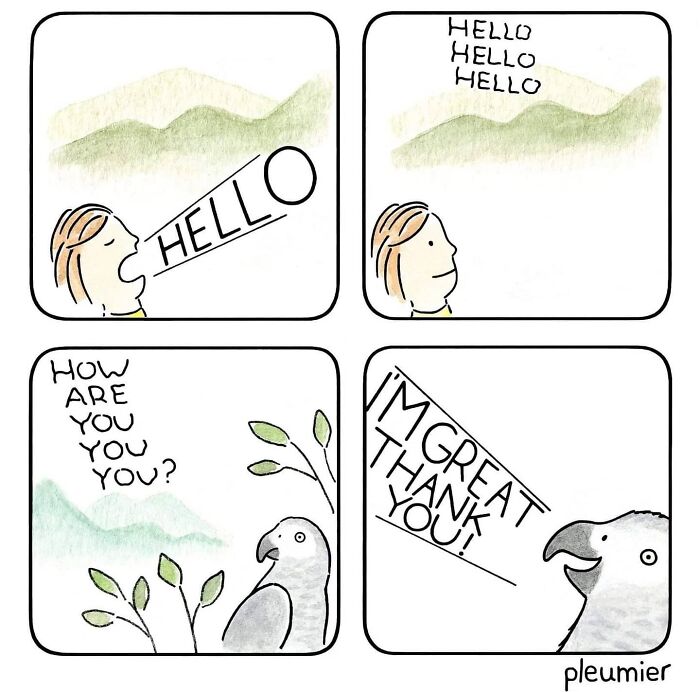 Comic panels showing a biologist-turned-artist’s funny, gently twisted interaction between a person and a talking bird.