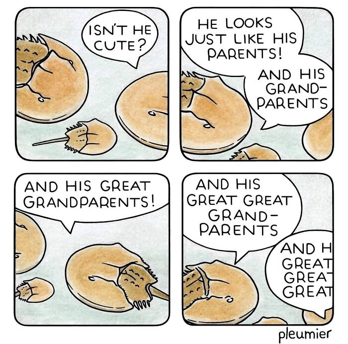 Comic panels showing horseshoe crabs humorously discussing ancestry in gently funny comics by a biologist-turned-artist.