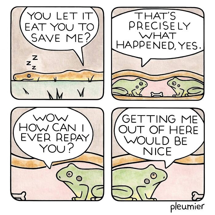 Comic panels showing a biologist-turned-artist’s gently funny comic with frogs and a snake sharing a sharp twist dialogue.